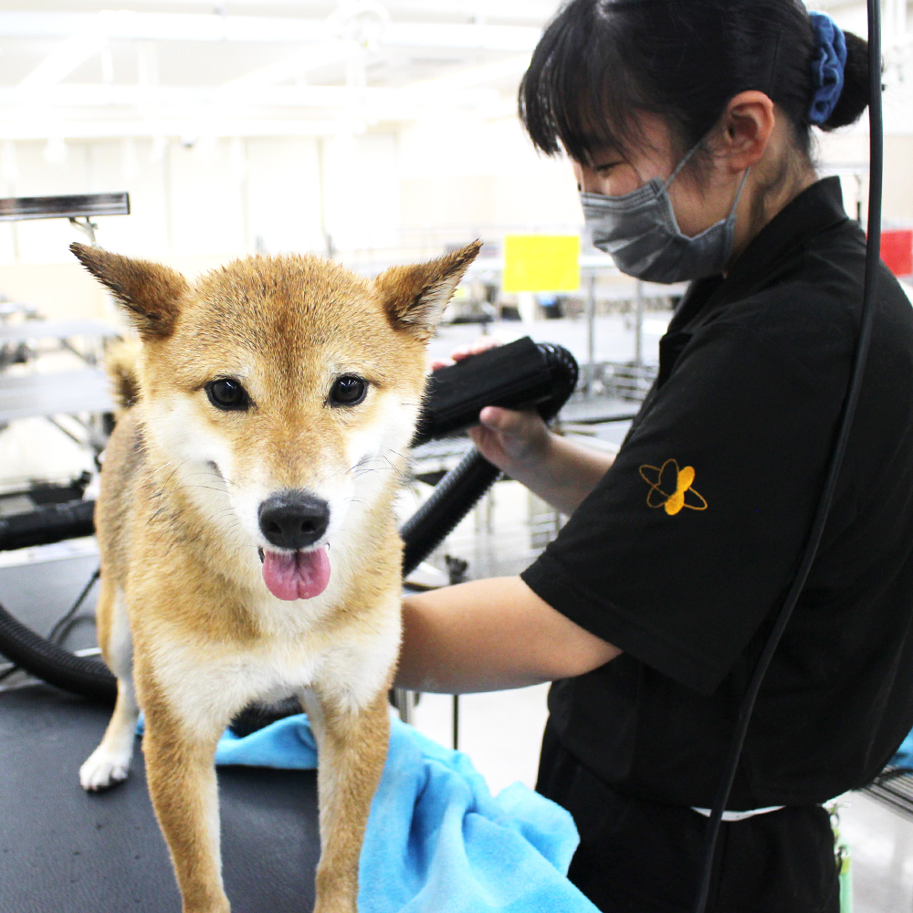 今日もかわいいお客様♪